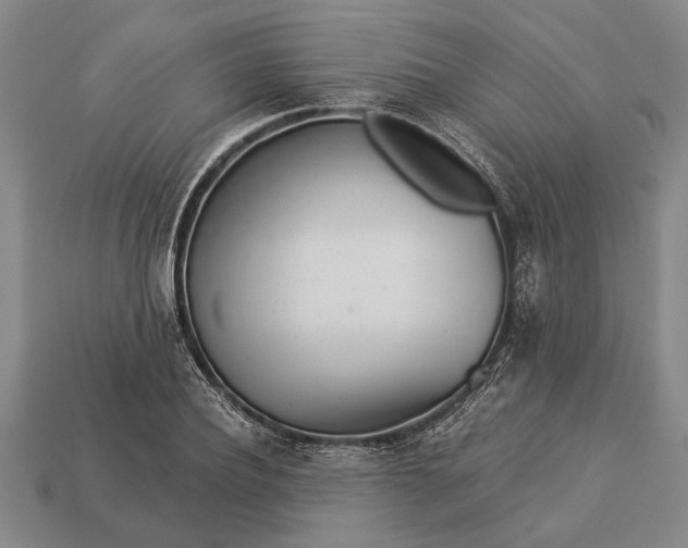 X0000112920932200909141310