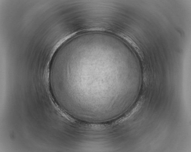 X0000112920933200909141310
