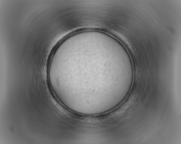 X0000112920935200909141310