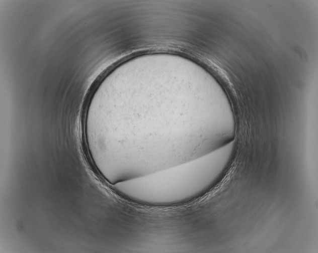 X0000112920936200909141310