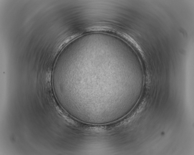 X0000112920937200909141310