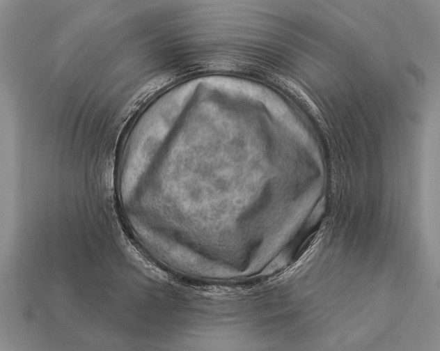 X0000112920938200909141310