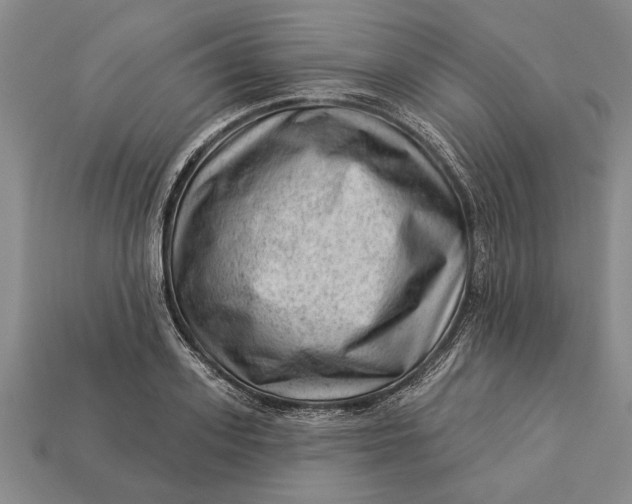 X0000112920939200909141310