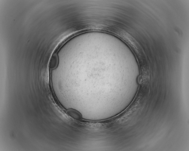 X0000112920940200909141310