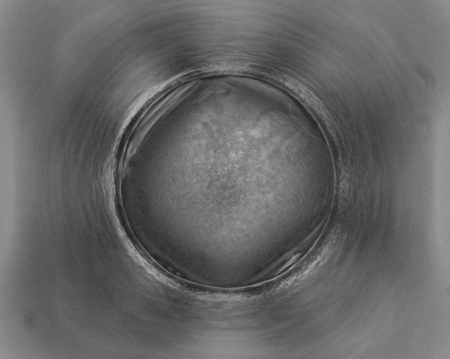 X0000112920941200909141310