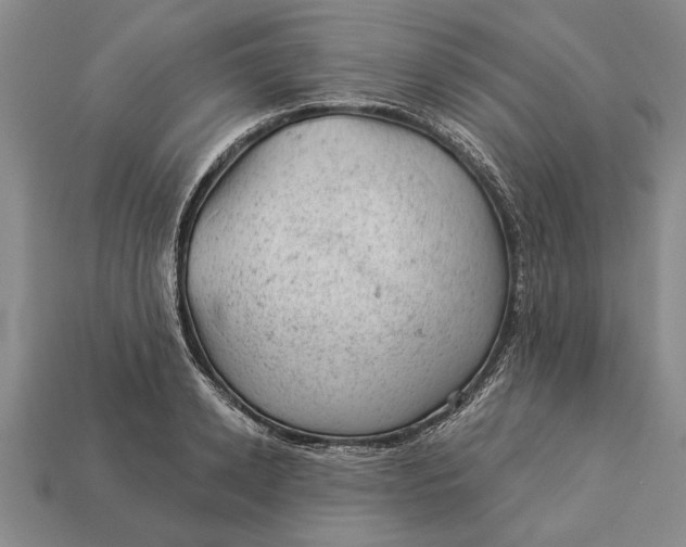 X0000112920942200909141310