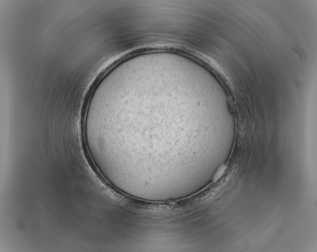 X0000112920943200909141310