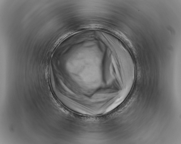 X0000112920945200909141310