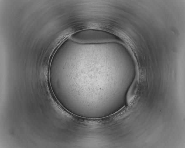 X0000112920946200909141310