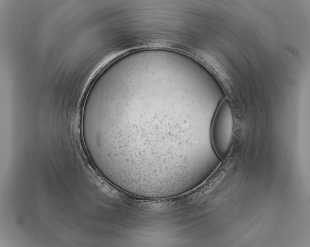 X0000112920948200909141310