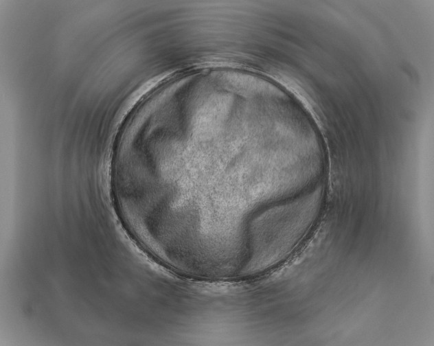 X0000112920949200909141310