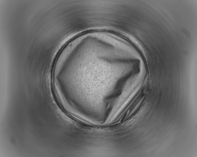 X0000112920951200909141310