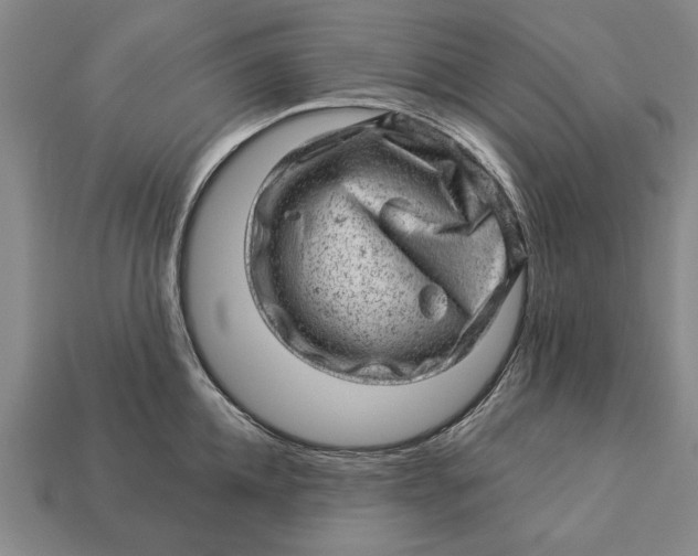 X0000112920952200909141310