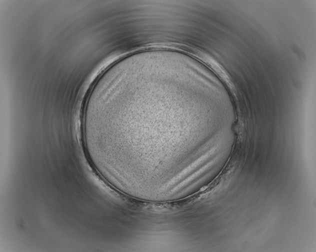 X0000112920955200909141310