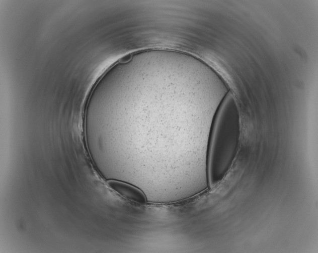 X0000112920956200909141310