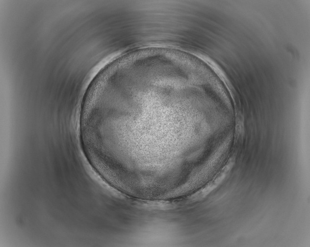 X0000112920957200909141310