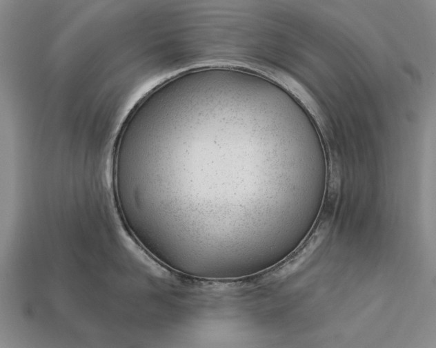 X0000112920958200909141310