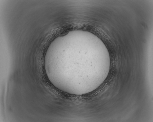X0000112920961200909141309
