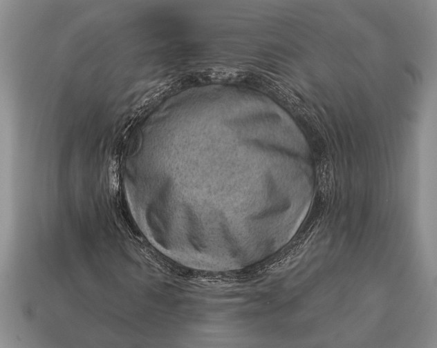X0000112920962200909141309
