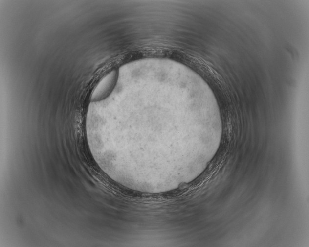 X0000112920964200909141309