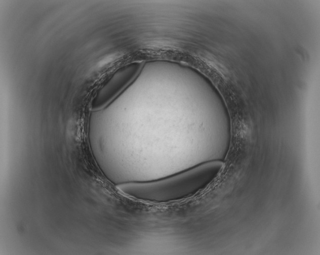 X0000112920965200909141309