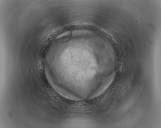 X0000112920966200909141309