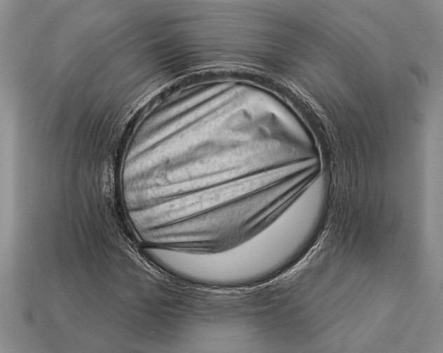 X0000112920969200909141309