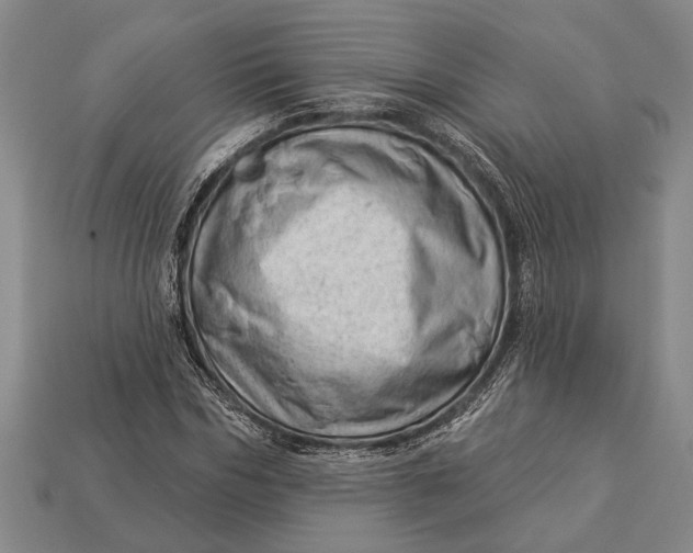 X0000112920970200909141309