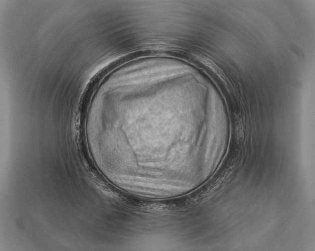 X0000112920971200909141309