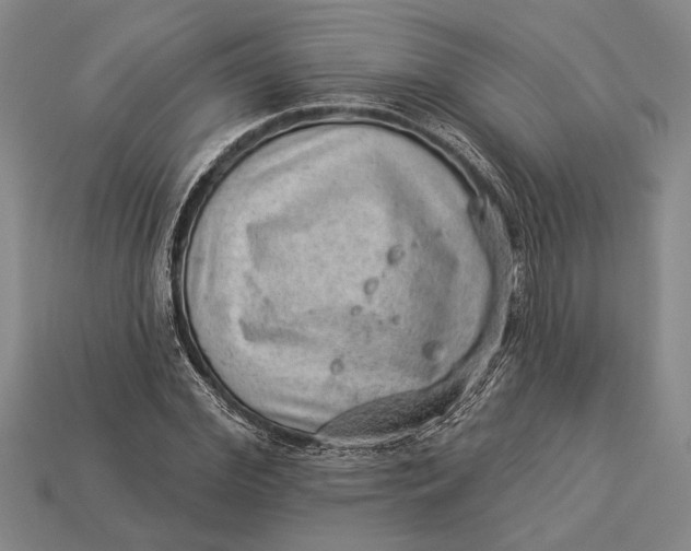 X0000112920972200909141309