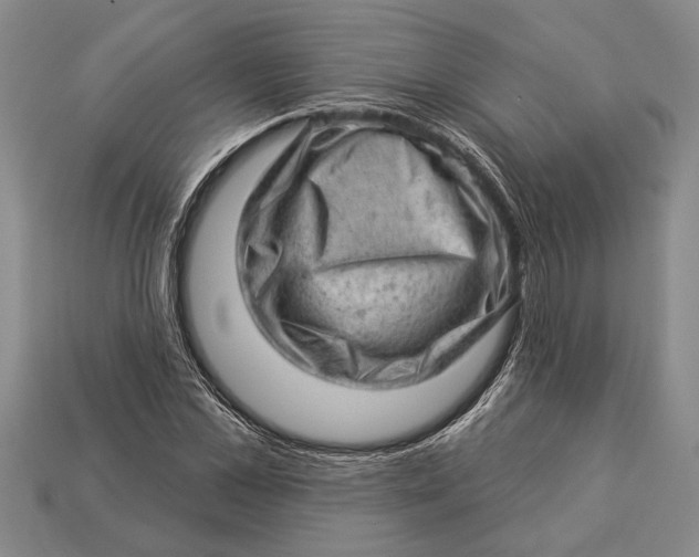 X0000112920973200909141309