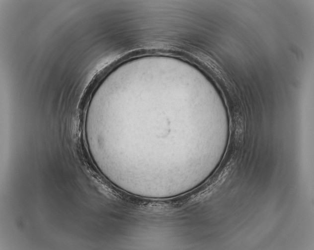 X0000112920974200909141309