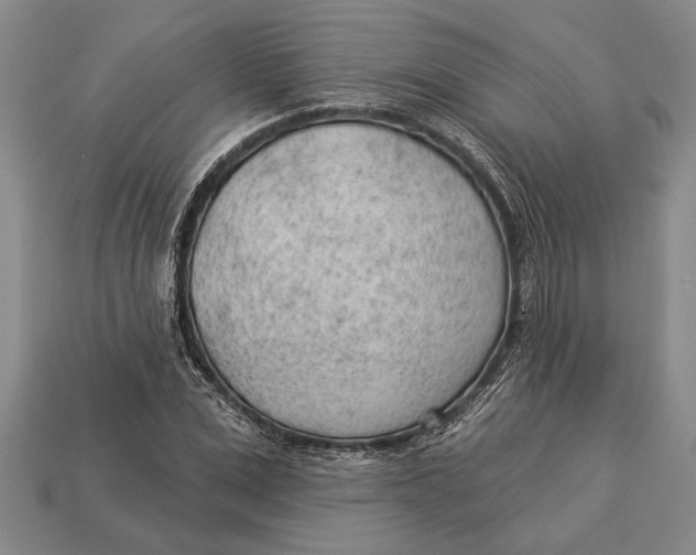 X0000112920975200909141309