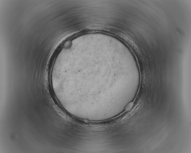X0000112920976200909141309