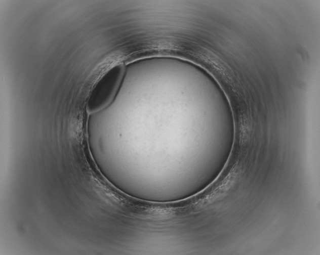 X0000112920977200909141309