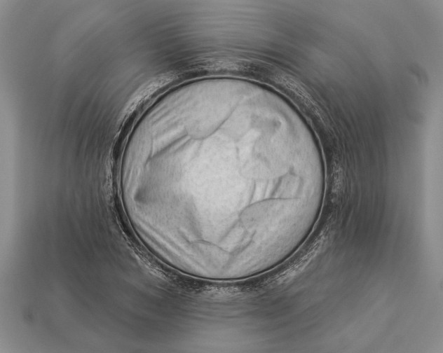 X0000112920978200909141309