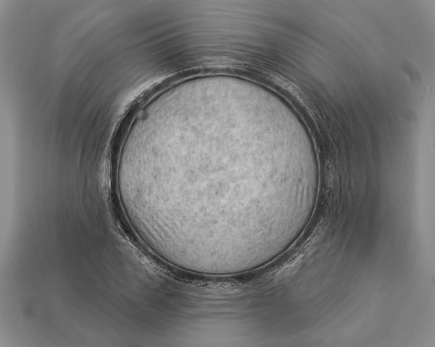 X0000112920979200909141309