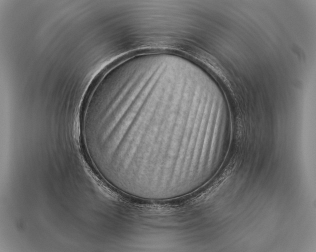 X0000112920980200909141309