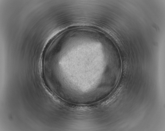 X0000112920982200909141309