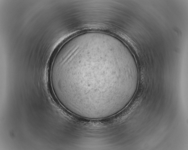 X0000112920983200909141309