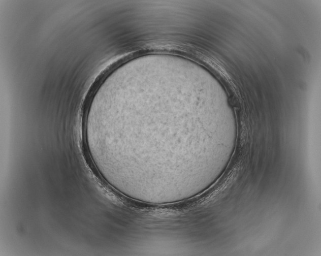 X0000112920984200909141309