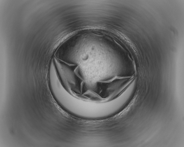 X0000112920985200909141309