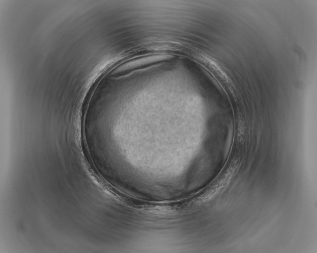 X0000112920986200909141309