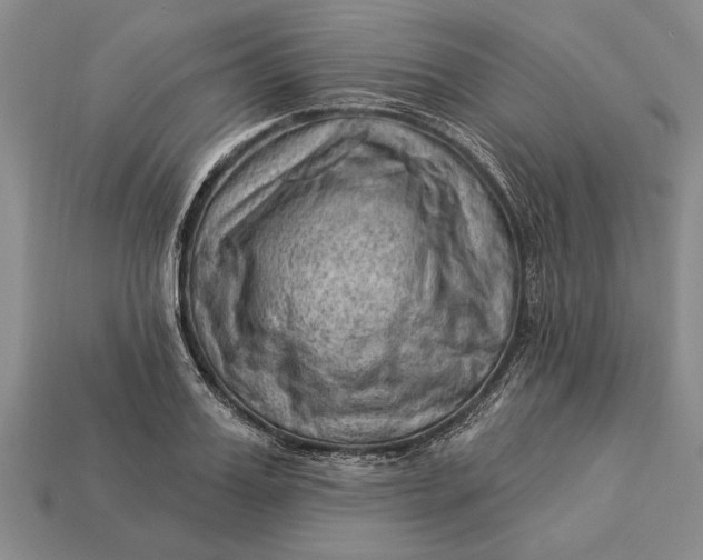 X0000112920987200909141309