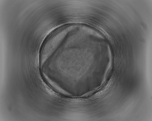 X0000112920988200909141309