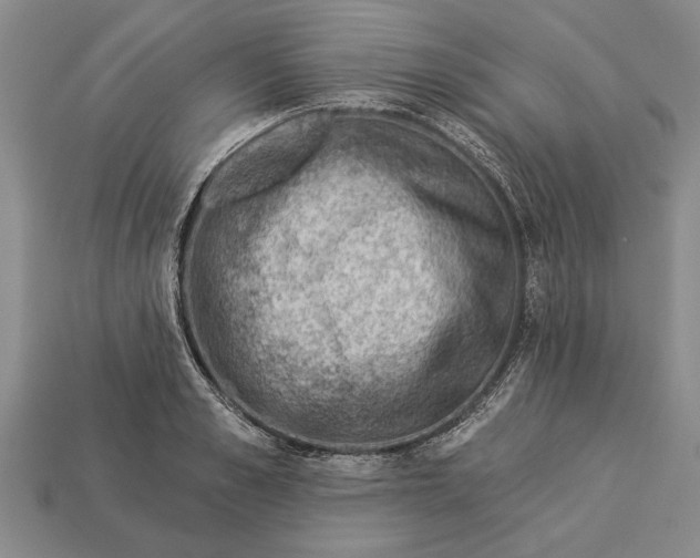 X0000112920989200909141309