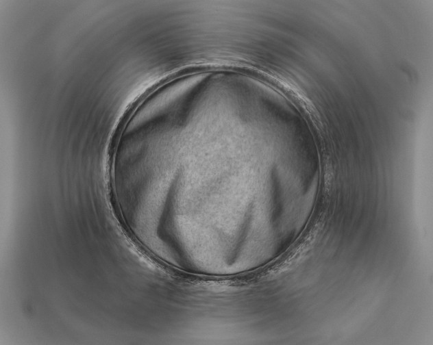 X0000112920990200909141309
