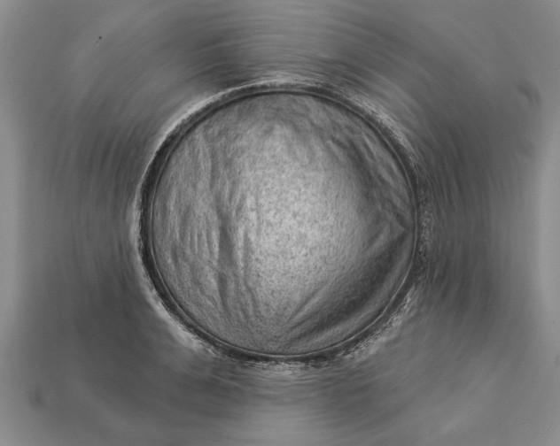 X0000112920991200909141309