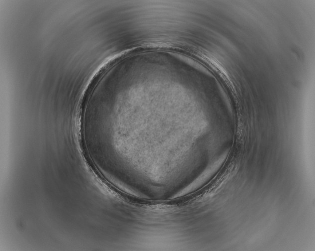 X0000112920992200909141309