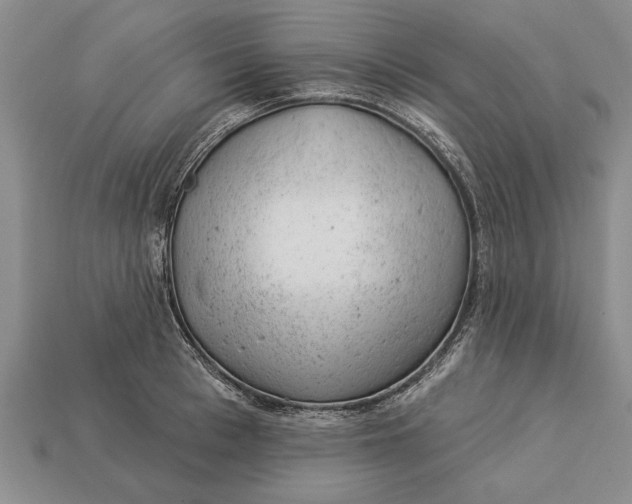 X0000112920993200909141309